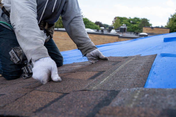 Best Shingle Roofing Installation  in Choudrant, LA